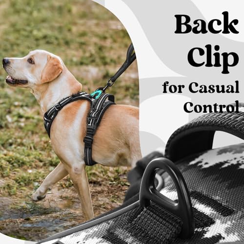 rabbitgoo Dog Harness Small Sized, No Pull Easy On & Off with 3 Buckles Pet Harness, Adjustable Soft Walking Vest with 2 Clips and Handle, Reflective for Small Dogs, Mountain Black, S - color: Mountain Black, size: Small