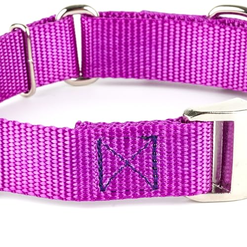 Country Brook Petz - Martingale Dog Collar - Heavy Duty Nylon Adjustable Martingale Dog Collar with Premium Buckle for Small Medium Large Breeds (5/8 Inch, Extra Small, Bright Purple) - color: Bright Purple, size: Extra Small (Pack of 1)