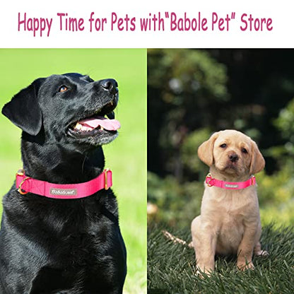 Nylon Dog Collar - Adjustable Rose Red Soft Webbing Dog Collars for Small Medium Large Dogs Boy Girl Puppy Collar with Safety Metal Buckle XS - color: Nylon-Rose Red, size: XS