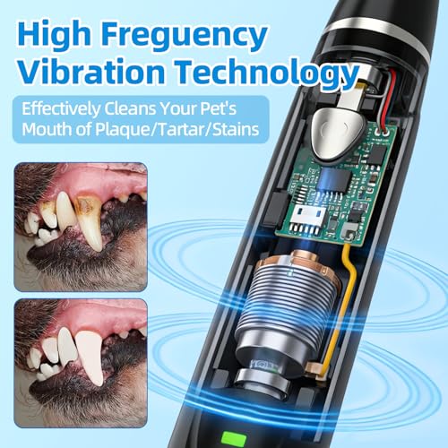 Plaque Remover for Teeth, Pet Ultrasonic Cleaner, Dog Plaque and Tartar Remover with LED Light, Dog Teeth Cleaning Dental Care Kit for Tartar and Stains, Suitable for Dogs and Cats (Black-1) - color: Black-1