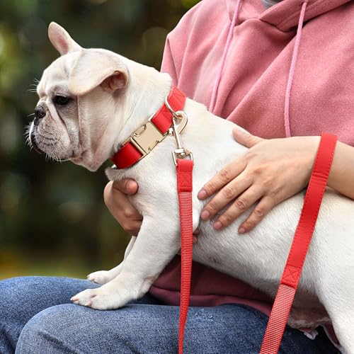 PET ARTIST Soft PU Leather Dog Collar, Bright & Classic Red Dog Collar with Quick Release Rose Metal Buckle, Adjustable Nylon Padded Durable Pet Collars for Small Dogs Girl, Neck Fit 9-14" - color: Red, size: S: Fit 9-14" Neck(10-20 lbs)