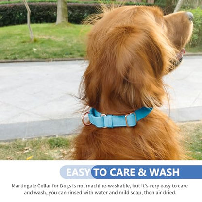 Soft Leather Martingale Dog Collar - Adjustable Rose Gold Limited Slip Collars [Easy to Clean], Stylish Durable Heavy Duty Nylon No Pull Training Collar for Small Medium Large Dogs XS Light Blue - color: Light Blue, size: XS (Neck 8"-11", Width 3/5")