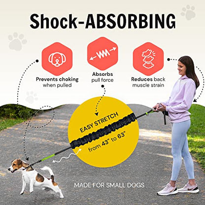 Hundefreund Hands-Free Dog Leash for Small Dogs 10 to 30 lbs - Lightweight Waist Leash with Bungee (43–63"), Padded Belt (26–47") & Pouch – Dual Handles, Reflective Stitching for Walking & Jogging