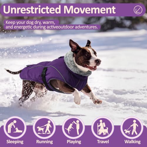 DENTRUN Warm Dog Winter Coat, Easy On Reflective Turtleneck Fleece Jacket | Adjustable buckle, easy on off, windproof & water-repellent, thick fleece snowsuit, outfit fits small to large breeds - color: Purple, size: Medium