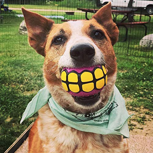 Dog Balls Toys Squeaky Fetch - Rubber Funny Ball Gifts for Large Medium Dogs (Variety Pack) - color: Variety