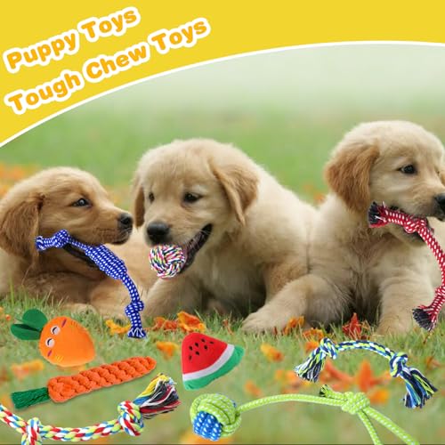 MRSOHRET 18 Pack Dog Toys Puppy Teething Toys, Puppy Essentials Chew Toy Bundle with Squeaky Toy and Interactive Rope for Small Dogs to Keep Them Busy - style: puppy toys 18pcs
