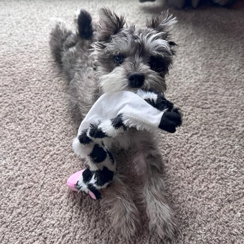 SPOT Skinneeez Crinklers Cow - Stuffing-Free Dog Toy with Crinkle & Squeaker Sounds, Durable for Moderate Chewers, Tug Toy for Small Dogs & Puppies, 14in - style: Small Cow