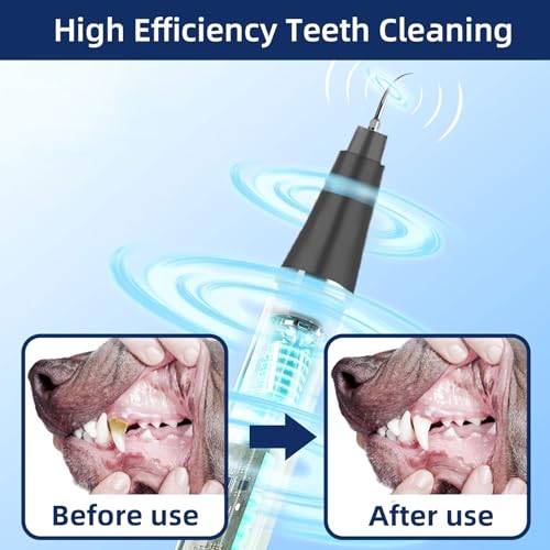 Plaque Remover for Teeth, Pet Ultrasonic Cleaner, Dog Plaque and Tartar Remover with LED Light, Dog Teeth Cleaning Dental Care Kit for Tartar and Stains, Suitable for Dogs and Cats (Black) - color: Black