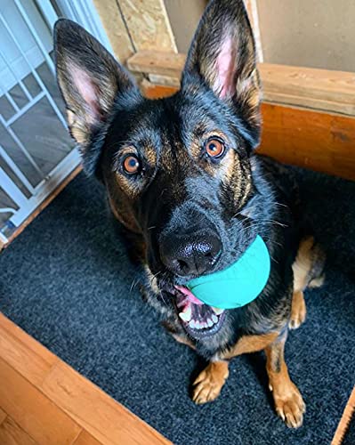 Chew King Fetch Balls Extremely Durable Natural Rubber Toy 4 inch, 2 Pack (CM-10031-CS01) - color: 2-Pack (4" Balls)
