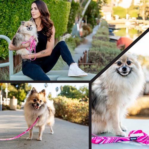 Wolfgang Heavy Duty, Adjustable Dog Collar with Quick Release Nylon Buckle for Walking & Training, MarbleSwirl Print, Small - color: MarbleSwirl Print, size: Small (5/8 Inch x 8-12 Inch)