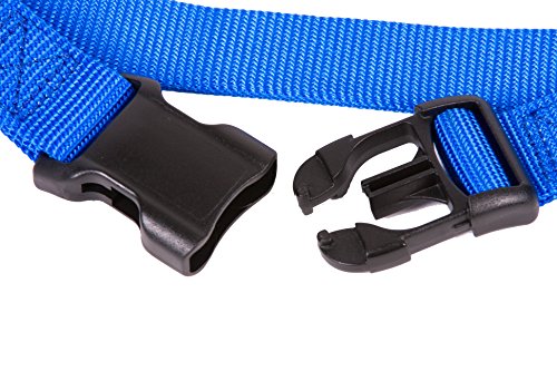 GOGO Pet Products 1-Inch Martingale Dog Collar, Large, Blue - color: Blue, size: Large (1" web width)