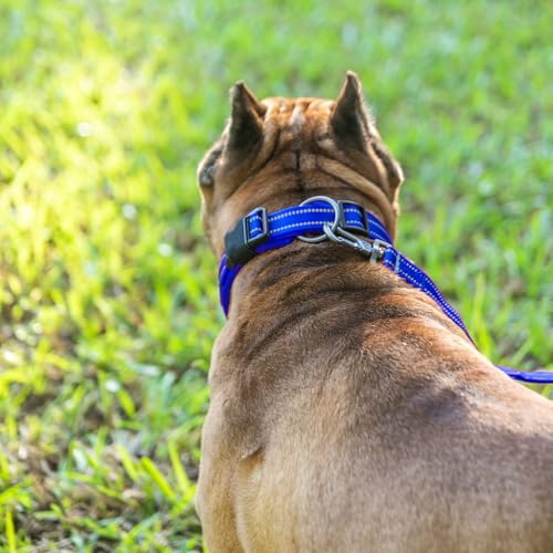 EXCELLENT ELITE SPANKER Reflective Dog Collar Classic Soft Padded Breathable Nylon Adjustable Pet Collar with Quick Release Buckle for Boy Girl Male Female Small Medium Large Dogs Training(Blue-M) - color: Blue, size: M