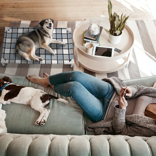 Caghash Elevated Outdoor Raised Dog Bed Outdoor Dogs Bed Lifted Pet Bed Dog Cot for Medium Pet Taste Life, Start with A Pet Bed 34'' x 20'' x 6.5'' - size: Standard - Medium Minus