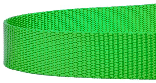Country Brook Petz - Vibrant 17 Color Selection - Heavyduty Doublehandle Nylon Leash (6 Foot, 3/4 Inch Wide, Hot Lime Green) - color: Hot Lime Green