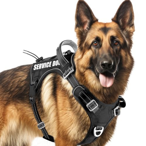 BARKBAY Service Dog Vest Tactical Dog Harness Medium Large Sized Dog No Pull Adjustable Dog Harness Reflective K9 Working Training Easy Control Military Molle System(Black,L) - color: Black, size: Large