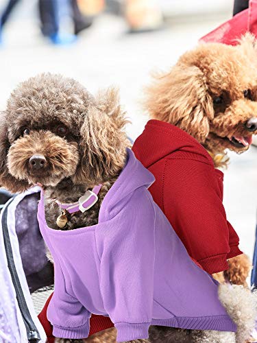 Syhood 4 Pieces Medium Dog Sweaters Dog Hoodie Clothes with Hat for Small Dogs Puppy Pet Winter Warm Hoodies Coat Sweater Shirt Chihuahua Clothes with Pocket - size: M