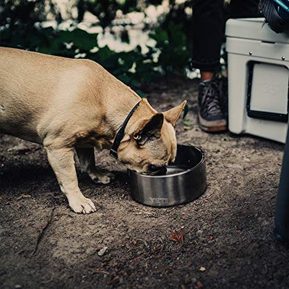 YETI Boomer 8, Stainless Steel, Non-Slip Dog Bowl, Holds 64 Ounces - color: Stainless