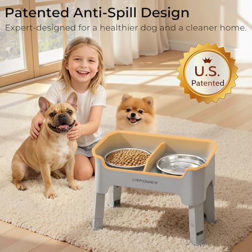 URPOWER Mess Proof Elevated Dog Bowls 4 Height Adjustable Raised Bowl Stand with 2 Stainless Steel Dog Bowls Non-Slip Food and Water Bowl Set for Small Dogs, Light Grey - color: Light Grey, size: Small