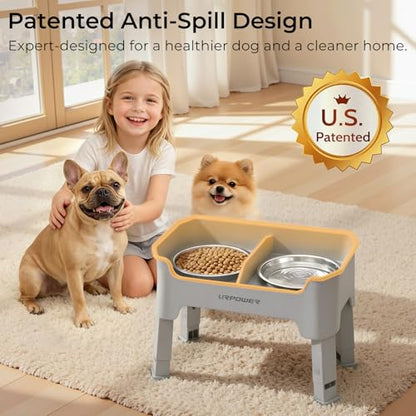 URPOWER Mess Proof Elevated Dog Bowls 4 Height Adjustable Raised Bowl Stand with 2 Stainless Steel Dog Bowls Non-Slip Food and Water Bowl Set for Small Dogs, Light Grey - color: Light Grey, size: Small