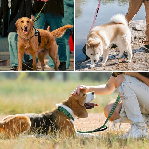 Hikiko 6 FT Heavy Duty Dog Leash with 2 Padded Handles Reflective Nylon Double Handle Dog Leash, Green - color: Green, size: 1 in x 6 ft