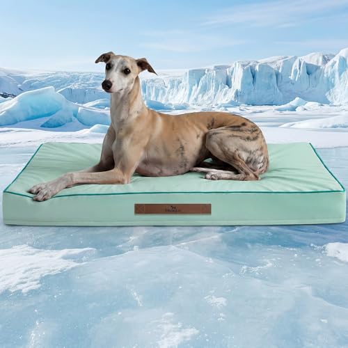 Cooling Dog Bed for Large Dogs, Orthpedic Cooling Pet Bed Dog Crate Mat for Summer with Removable Washable Cover, Breathable Egg Crate Foam with Waterproof Liner, Q-Max >0.45, Light Aqua - color: Light Aqua, size: 36''x27''x3''