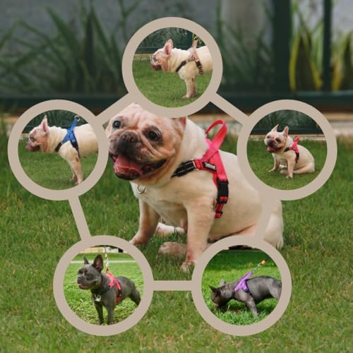No Pull Dog Harness with Handle, Rear & Front Clip, Adjustable, Easy On/Off, Reflective, Lightweight & Mesh Padded, No Choke. Dog Harness Small Sized Dog (Pink-Black, Small) - color: Pink-Black, size: Small