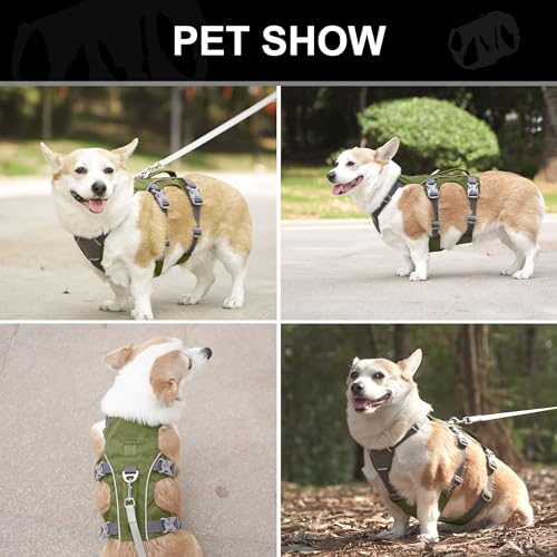 Escape Proof Dog Harness Small Sized Dog, Reflective No Pull Dog Vest with Handle, Lightweight Full Body Pet Harness Adjustable for Walking,Training(Green,Chest:16-27") - color: Green, size: S: Chest 16-27", Fit 12-25 lbs