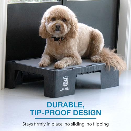 Blue-9 KLIMB Jr. Professionally Designed Dog Training Platform and DIY Guide for Behavior Basics, Made in The USA, Black - color: Black