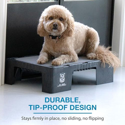 Blue-9 KLIMB Jr. Professionally Designed Dog Training Platform and DIY Guide for Behavior Basics, Made in The USA, Black - color: Black