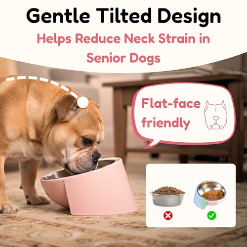 Tilted Dog Bowl for Flat-Faced & Senior Dogs, 15° Slanted Stainless Steel Dog Food Bowl, Elevated Pet Feeder for Small & Medium Dogs (Pink + Light Blue, M (420 ML / 1.5 Cups)) - color: Pink + Light Blue