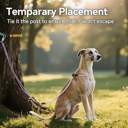 QQPETS Adjustable Slip Lead Dog Leash, Hands Free Waist Leash for Dog Walking, Reflective Training Lead with 360° Swivel Anti-Tangle, 4-7 ft Length for All Breeds - color: Color Gradient