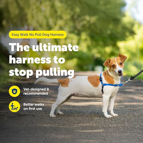 PetSafe Easy Walk No-Pull Dog Harness - Ultimate Harness to Help Stop Pulling - Pull-Free Walks - Take Control & Teach Better Leash Manners - Patented Martingale Loop Design - Royal Blue, Small - color: Royal Blue/Navy Blue, size: Small