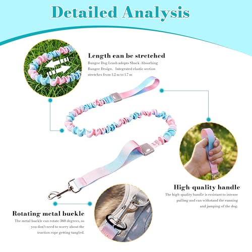 Dog Leash for Small to Medium Dogs, Shock Absorbing Dog Leashs, Dog Walking Leash, Dog Training Leashs, Ombre Color， 4-5.5 Feet(Pink-Blue Ombré) - color: Pink-Blue Ombré