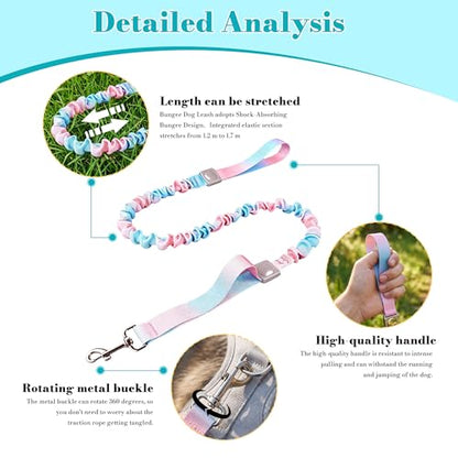 Dog Leash for Small to Medium Dogs, Shock Absorbing Dog Leashs, Dog Walking Leash, Dog Training Leashs, Ombre Color， 4-5.5 Feet(Pink-Blue Ombré) - color: Pink-Blue Ombré