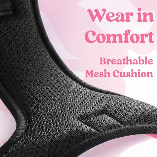 rabbitgoo Dog Harness Small Sized, No Pull Easy On & Off with 3 Buckles Pet Harness, Adjustable Soft Walking Vest with 2 Clips and Handle, Reflective for Small Dogs, Rose Pink, S - color: Rose Pink, size: Small