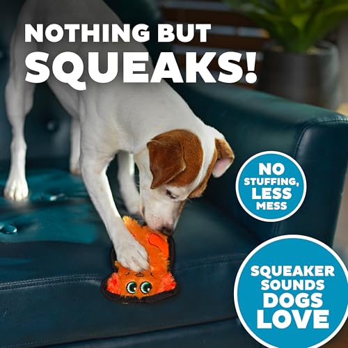 Outward Hound Durablez Minis Stuffing-Free Squeaky Plush Dog Toy for Puppies & Small Dogs - Interactive, Soft Yet Tough, No Mess, Jumbo Squeaker, Long-Lasting Play, Dog - color: Dog, size: X-Small (Pack of 1)