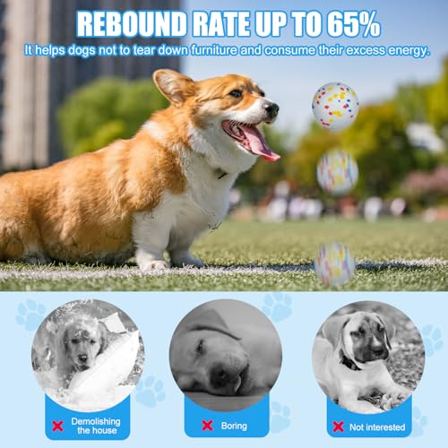 Etpu Dog Tennis Balls - Durable Bouncy chew Toys for Small Medium and Large, Interactive Fetch Training, Squeaky Tennis Balls for Aggressive Chewers, Water Resistant Dog Toys, 6 Pack (7cm White) - size: 6 Pack – 7cm White