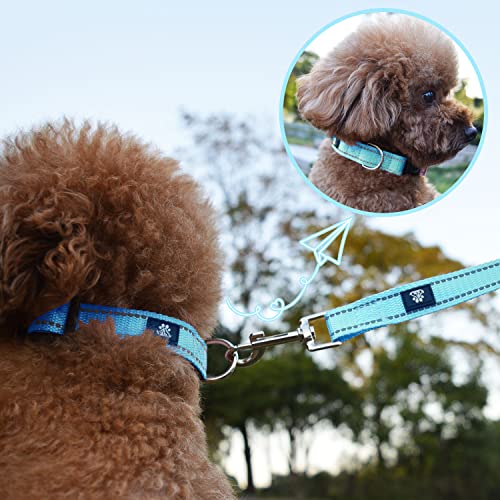 NESTROAD Dog Collar and Leash Set,Reflective Dog Collars with Quick Release Buckle,Adjustable Nylon Pet Collar for Small Medium Large Dogs(Small,Blue) - color: Blue, size: Small