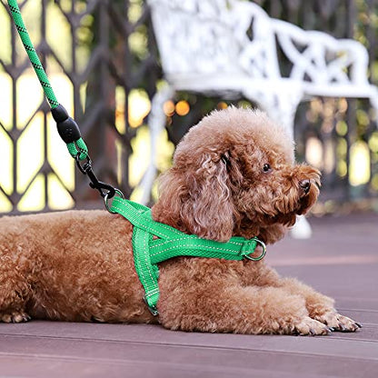 Plutus Pet No Pull Dog Harness with Breathable Mesh Padded, Adjustable Reflective Escape Proof Dog Harness, Quick Fit Dog Vest Harness for Small Medium Large Dogs(XXS, Green) - color: Green, size: XXS: chest 11.8"-15"
