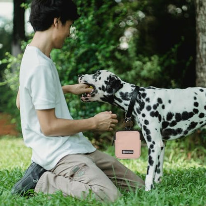 Dog Treat Pouch with Training Clicker,Waterproof Nylon Fabric Poop Bag Holders for Leashes,Hands Free Small Dog Walking Bag with Carabiner, Pet Puppy Training Walking Essentials (Coffee) - color: Coffee