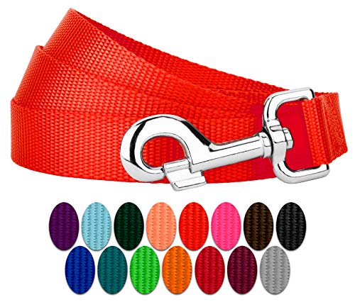 Country Brook Petz - Vibrant 17 Color Selection - Heavyduty Doublehandle Nylon Leash (6 Foot, 3/4 Inch Wide, Neon Orange) - color: Neon Orange