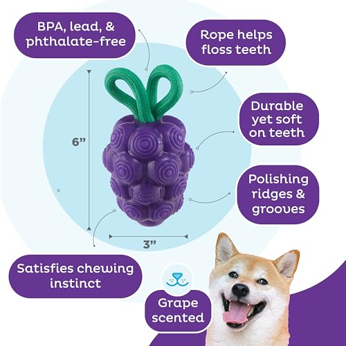 Outward Hound Dental Grapes Dog Toy & Treat Stuffer, 6″ x 3″ Grape-Scent Interactive Chew for Dogs, Helps Clean Teeth, Promote Healthy Gums & Mental Enrichment, Reduce Boredom & Support Dental Health - color: Grape