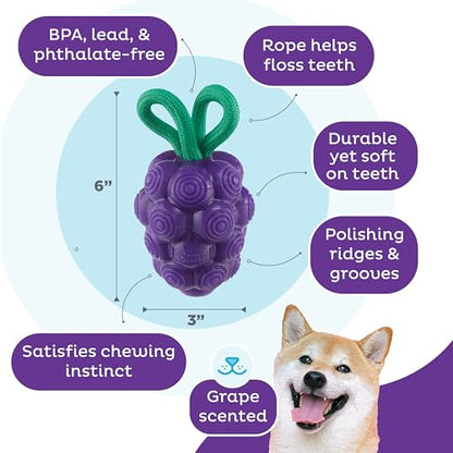 Outward Hound Dental Grapes Dog Toy & Treat Stuffer, 6″ x 3″ Grape-Scent Interactive Chew for Dogs, Helps Clean Teeth, Promote Healthy Gums & Mental Enrichment, Reduce Boredom & Support Dental Health - color: Grape