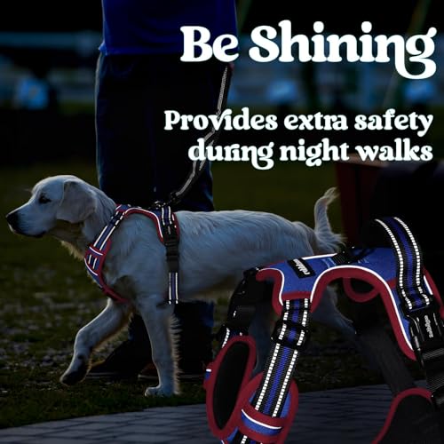rabbitgoo Dog Harness Small Sized, No Pull Easy On & Off with 3 Buckles Pet Harness, Adjustable Soft Walking Vest with 2 Clips and Handle, Reflective for Small Dogs, Royal Blue & Red, S - color: Royal Blue & Red, size: Small