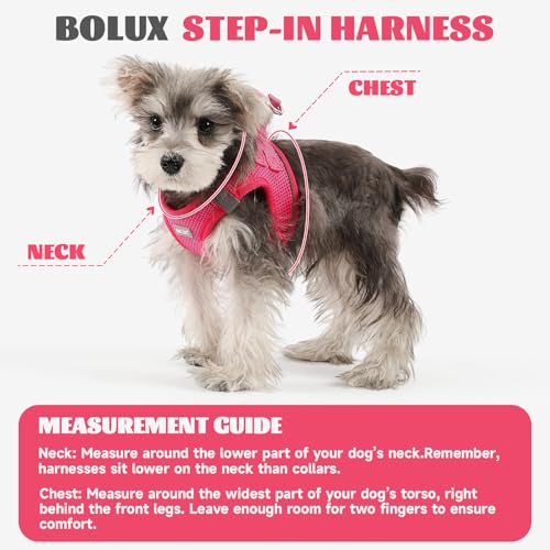 Dog Harness Small Sized and Leash Set, Step in Soft Light Puppy Vest, Breathable Mesh Pet Harness, Reflective for Safe Easy Walking. - color: Pink, size: Large (Pack of 1)