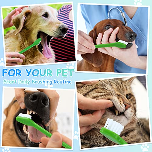 Honeydak Dog Toothbrush Bulk Dual Headed Dental Brushes Dogs Tooth Brushing Kit Long Handle Pet Tooth Brush for Puppy Large Small Cats and Most Pets Teeth Cleaning Dental Supplies(70 Pcs,Green) - color: Green