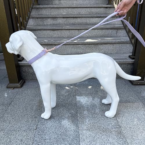 Dog Leash 6ft Long,Traffic Padded Two Handle,Heavy Duty,Double Handles Lead for Control Safety Training,Leashes for Large Dogs or Medium Dogs,Dual Handles Leads (Purple, 25MM*6FT) - color: Purple
