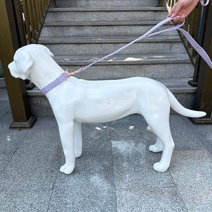 Dog Leash 6ft Long,Traffic Padded Two Handle,Heavy Duty,Double Handles Lead for Control Safety Training,Leashes for Large Dogs or Medium Dogs,Dual Handles Leads (Purple, 25MM*6FT) - color: Purple