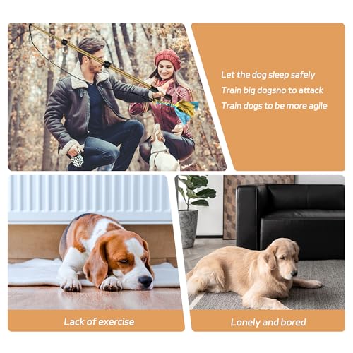 Flirt Pole for Dogs, Interactive Toys Tug-of-war for Pet, Durable Teaser Wand, Chase Toys with Rope Chewing Sticks, for Outdoor Exercise & Training - size: 2 switch-40.2Inch-Gold