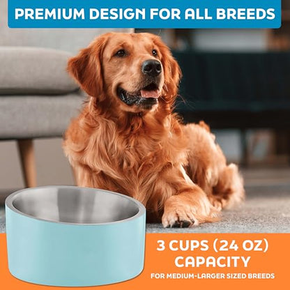 Master Pet Supply Stainless Steel Slanted Dog Cat Food Bowl - 24 oz Heavy Duty - Aqua Sky, Double Wall Insulated, Non-Slip Elevated Bowl for French Bulldogs Pugs Cats, Anti Rust Dishwasher Safe - color: Aqua Sky, size: 3 Cups (24 oz)
